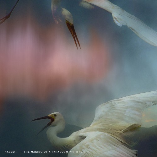 The Making of a Paracosm (Remixes Vol. 2) - Kasbo